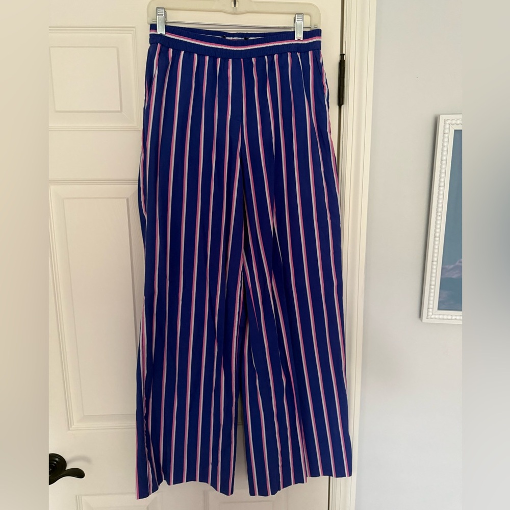 Zara Striped Blue and Pink Women's Pants